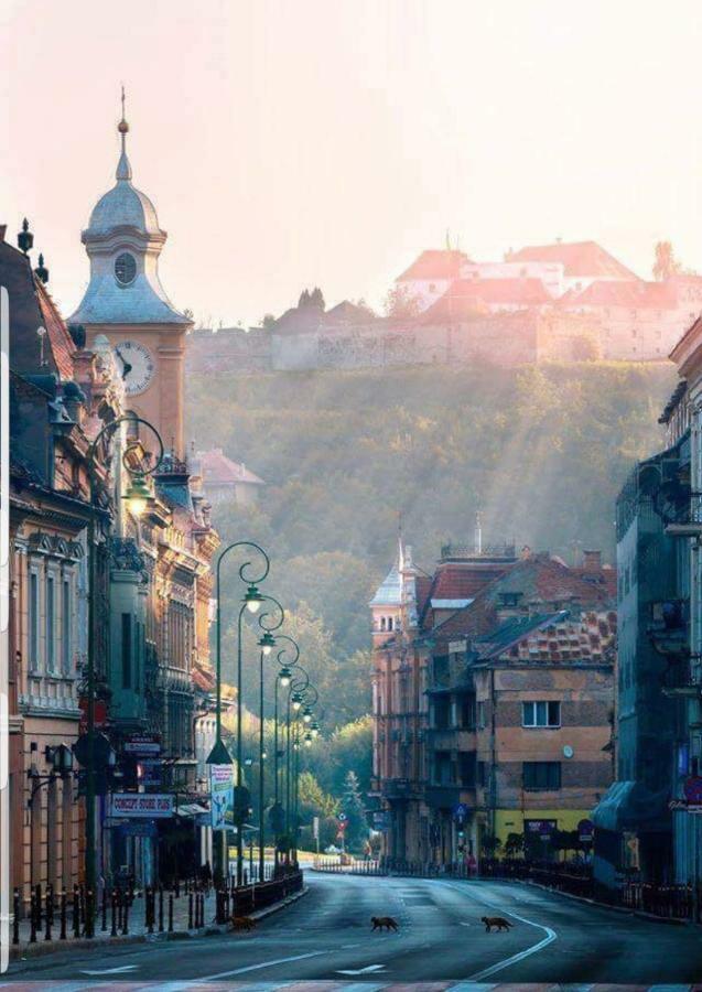 Апартаменты Strada Republicii Nr 26 Брашов Экстерьер фото